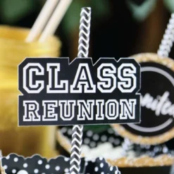 Big Dot Of Happiness Reunited - Paper Straw Decor - School Class Reunion Party Striped Decorative Straws - Set Of 24 -Nursery Decor Store GUEST a4aa9b7c 2b4a 4d2a 95df d21354c1b01d